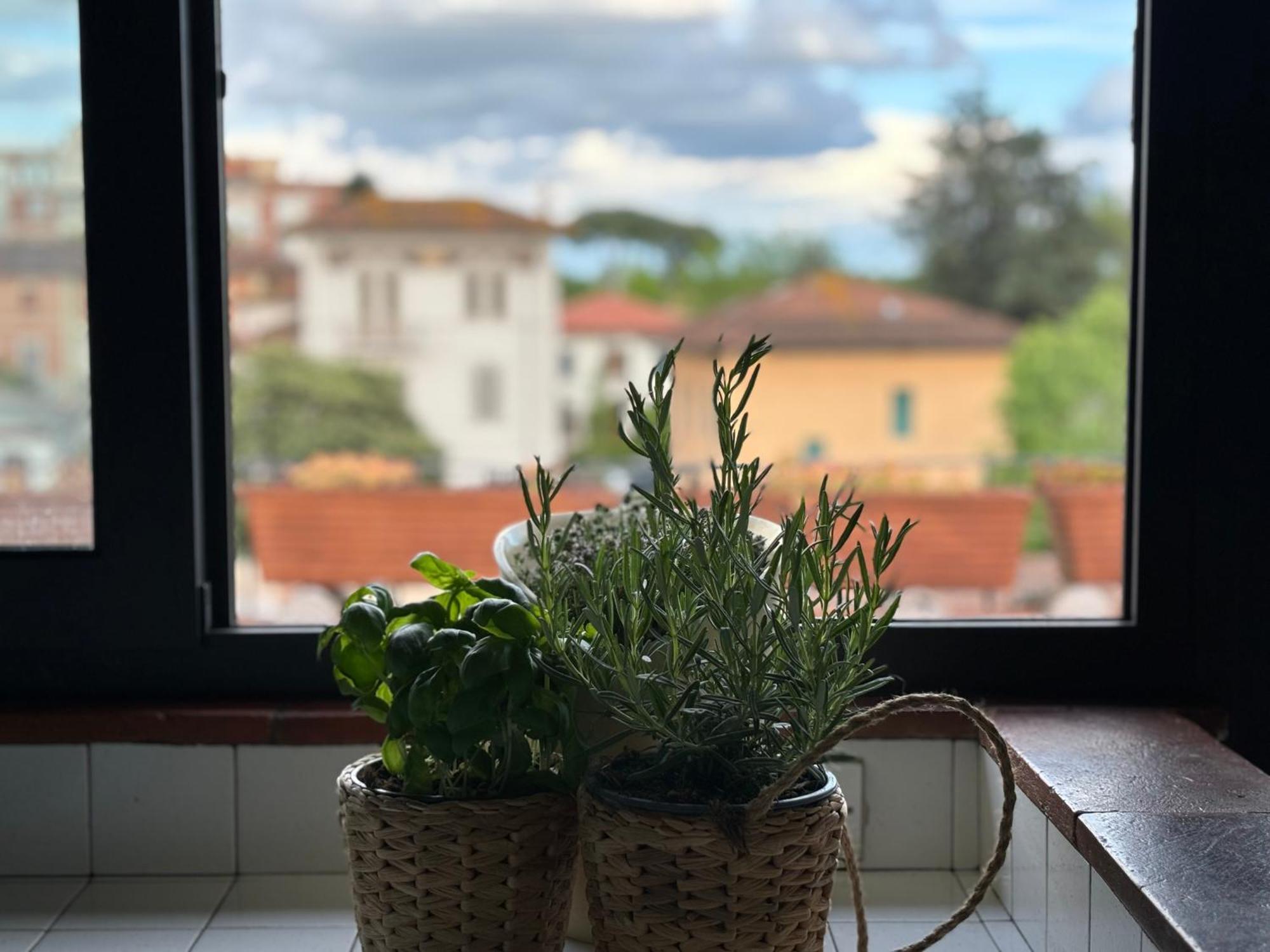 Lovely Apartment Lucca Luaran gambar